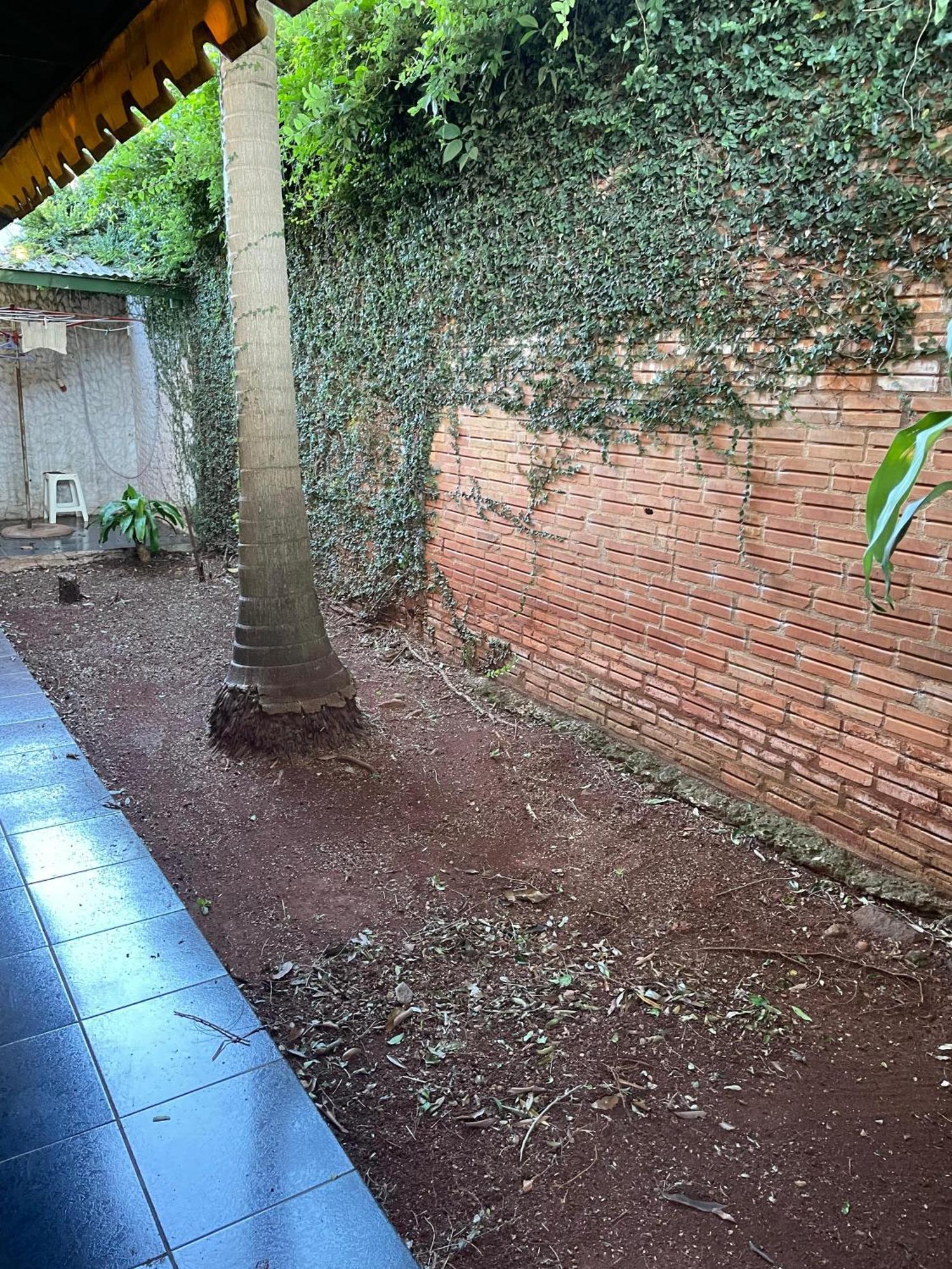 ¡Tucanes Iguazu! Puerto Iguazú Eksteriør bilde